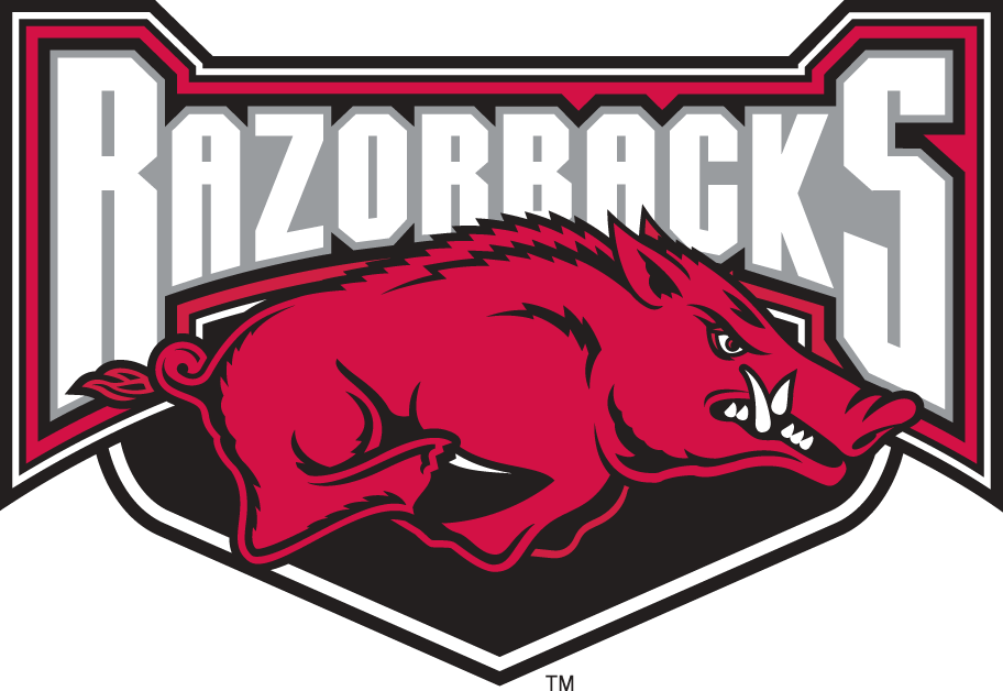 Arkansas Razorbacks 2001-2008 Alternate Logo v2 DIY iron on transfer (heat transfer)